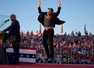 Elon Musk al descubierto