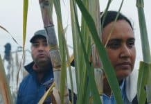 Historias del buen valle