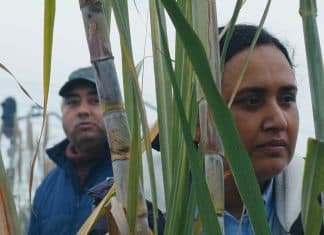 Historias del buen valle