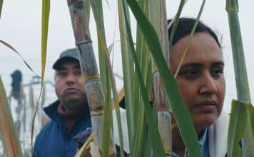 Historias del buen valle