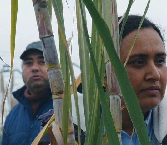 Historias del buen valle