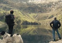 "Querida flor": una oda a las pequeñas cosas Querida flor documental