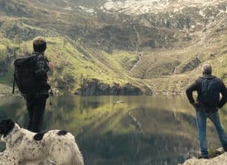 Querida flor documental