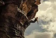 Depredador dominante