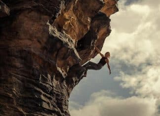 Depredador dominante