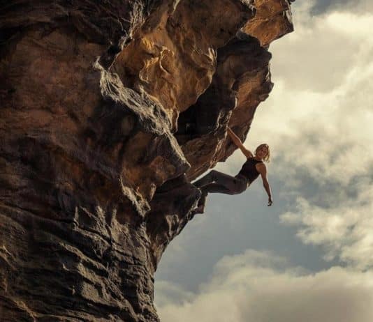 Depredador dominante