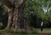 El amigo silencioso película