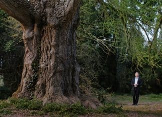 El amigo silencioso película