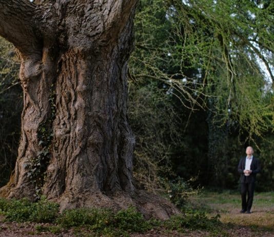 El amigo silencioso película