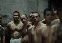 Hasta encontrarte documental