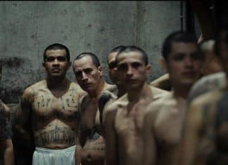 Hasta encontrarte documental