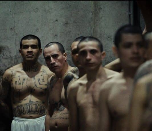 Hasta encontrarte documental