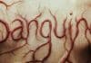 Sanguine película