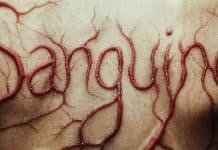 Sanguine película
