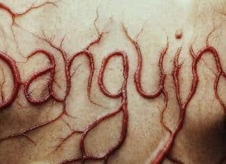 Sanguine película