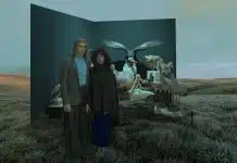 Taxidermia de una alondra