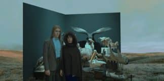 Taxidermia de una alondra