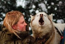 Folktales documental