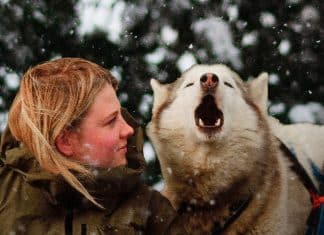 Folktales documental