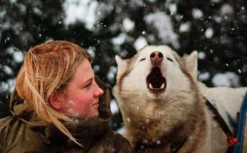 Folktales documental