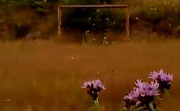 Hoja seca película