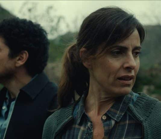 Enjambre película