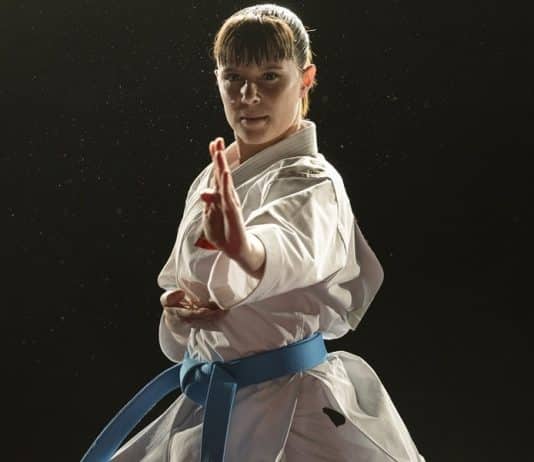 Karateka película