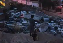 El ladrón de perros película