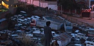 El ladrón de perros película