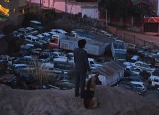 El ladrón de perros película