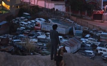 El ladrón de perros película