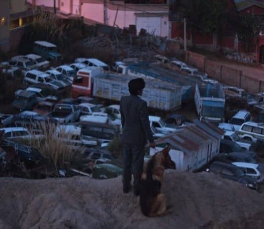El ladrón de perros película
