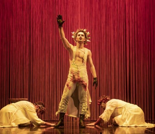 El público en Teatro Fernán Gómez
