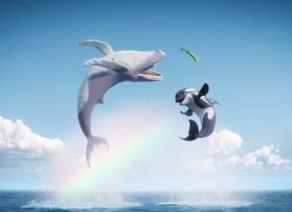 La leyenda de la ballena cantora