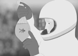 Moonfish