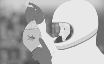 Moonfish